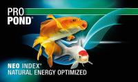 Generic JBL Propond Flakes Alimento para Peces de Estanque M(5-20mm) - details 1