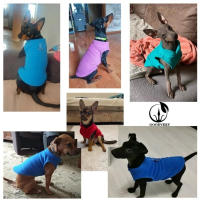 2PCS Ropa De Invierno Para Perros Estilo Halloween Con Abrigo Para Bulldog Francesés Y Chaquetas Para Pugs Material De Terciopelo Suave - details 3
