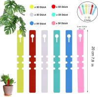 300 piezas de letreros para plantas, 2 cabezas de 20 cm, 6 colores - details 1