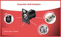 Banner - Conector chasis microfono XLR 3 pin hembra