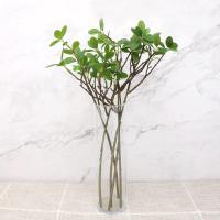 Rama Artificial De Árbol Verde Con Hojas Pequeñas Para Decoración De Hogar Accesorio De Fotografía De Fiesta Jungle Decoración De Plantas Falsas De Latex Para Aniversarios Bodas Y Fiesta De Hogar - details 2