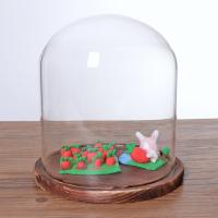 Vaso De Paisaje De Vidrio Transparente Con Base De Madera Juego De Terrario Porta Flores Para Decoración De Hogar Y Boda Navidad DIY - details 6