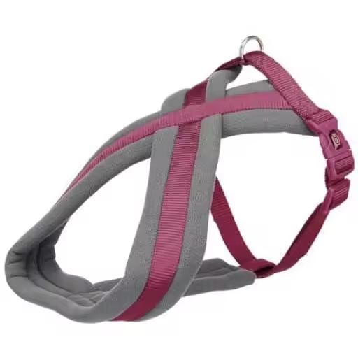 Arnés Confort NEWPremium XS26–38cm/10mm Orquídea - 1