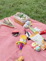 Rde Picnic Outdoor Tapete Plegable Gingham Manta De Picnic Reutilizable Lavable Máquina Estilo Pastoral Poliéster/Celulosa Trenzado - details 0