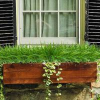 Planta Artificial De Primavera Para Decoración De Fiestas De Navidad Y Bodas Arbolito De Pared DIY Para Jardín Y Patio - details 18