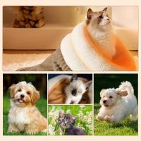 Cama De Descanso Para Mascotas Cálido Saco De Dormir Semi-Acrizado Para Gatos Y Perros Cómodo Para Camping Con Tres Capas Material De Algodón Veludo Y Piel De Oveja - details 10