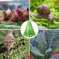 10PCS Cubiertas Protectoras Para Plantas De Jardín Y Paseo Multifuncionales Suministros DIY Para Jardín Y Yarda - details 4
