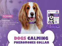 Collar De Feliway Para Perros Y Gatos 3/4 Piezas Alivia El Ansiedad Ajustable Y Cómodo Para Puppies Kitten Grandes Mascotas Accesorios Para Animales De Compañía - details 0