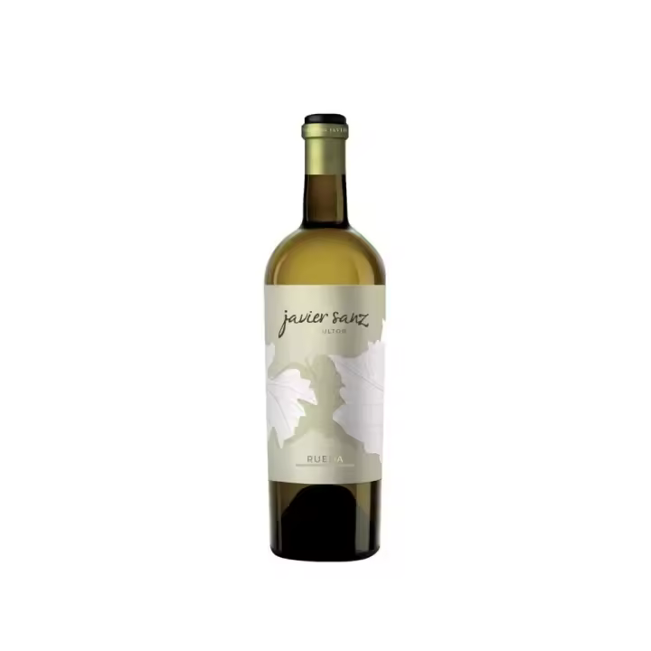 Javier Sanz Verdejo 2024 - 1