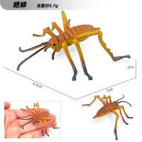 Juego De 12 Figuras De Animales Miniatura Insectos Y Reptiles Educativo Para Niños Juguetes De Halloween Escarabajo Mantis Cicada Lurio - details 11