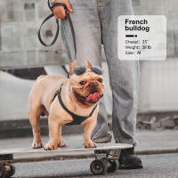 Juego De Arnés Y Correa Para Perros De Cuero PU Durable Arnes Suave Para Pequeños Y Medianos Perros Chihuahua Pug Con Guía De Caminar - details 13