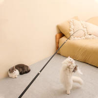 Varita Telescópica Para Gatos Extensible 1.8m Juguete De Pena Resistente Al Rasguño Para Aliviar La Aburrición De Los Gatos - details 2