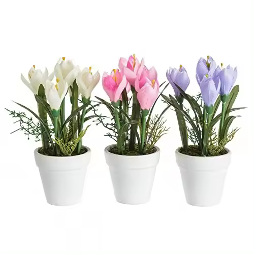 Pack 3 Planta azafran poliester en maceta de terracota -DAMDAM GO - 1