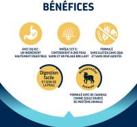 Advance Medium Maxi Sensitive Lamb, Pienso para Perros de Razas Medianas y Grandes con Sensibilidades Digestivas con Cordero, 12kg - details 3