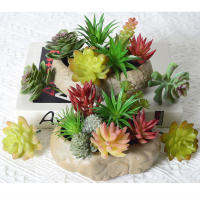 9/6PCS Plantas De Suculentas Artificiales Para Decoración De Hogar Cactus Miniatura Realista Texturizada Falsa Planta Para Exposición Y Regalo - details 17