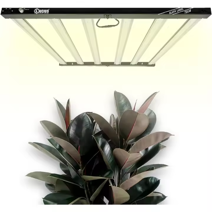 Lucius - LED 720W BLACK LABEL con Driver Integrado - 2.6 µmol para Cultivo Interior - Espectro Completo para Crecimiento y Floración - Máxima Producción, Resina y Calidad en Flores y Frutas - 1