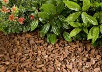 ✅Corteza decorativa de Pino. Calidad PREMIUM 50L AGRINATURA. La corteza decorativa es ideal para realzar la estética de jardines, grandes macetas o jardineras y parques, conservando la humedad del suelo, reduciendo la erosión y suprimiendo malezas. - details 1