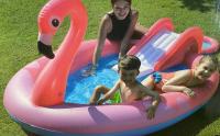 Jilong - PISCINA Hinchable FLAMENCO CON JUEGO Centros de Actividades para Infantil Niños bebés 240x150x95 cm - details 1