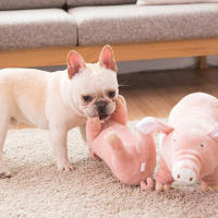 Juguete De Peluche Para Perros Y Gatos Almohadilla De Sueño Companion Mordedor De Algodón Para Pequeños Perros Bulldog Francés Divertido Juguete Para Moler Y Jugar - details 6