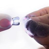 Tijeras De Uñas Para Perros Y Gatos LED Profesionales Con Bloqueo De Seguridad Herramienta De Aseo Para Mascotas Cuidado De Patas Para Gatos Y Perros - details 1