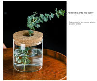 Maceta Creativa Para Plantas Hidroponicas Miniatura En Vidrio Transparente Decorativa Para Casa Y Salon Uso En Mesas - details 11