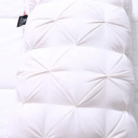 Almohada De Pluma De Ganso 95% Para Hotel 5 Estrellas Y Hogar Cubierta De Algodón Puro 3D Pan De Dormir Para Adultos 48*74cm - details 4