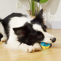 Juguetes Para Masticar Para Perros Bola De Sonido Al Masticar Con Alimentos Anti Mordedor Juguetes Interactivos Para Limpieza De Dientes De Mascotas - details 1