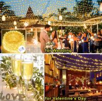 Luz De Enredadera LED Para Fiesta De Boda Y Decoración De Navidad Con 10/20/40/80 LEDS Cadena De Luces Festoon Para Dormitorio Estilo Estrellado Piloto Inalámbrico 3V - details 6