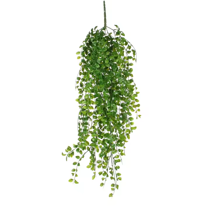 ficus colgante color verde 81cm - 1