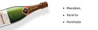 Codorníu Extra Reserva - Cava Brut Ecológico - Caja 6 botellas 75cl - details 2