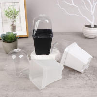 Juego De 5 Macetas Cuadradas Pequeñas Con Domos De Humedad Transparentes Para Plantas En Iniciación Moderno Estilo Plástico - details 3
