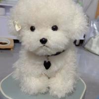 Muñeco De Peluche Realista Con Cabello Curvo Para Niños Y Bebés Juguetes De Animales Suaves Decoración De Habitación Regalo De Cumpleaños De Alta Calidad - details 0