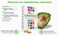Soria Natural Colestesor - Comprimidos Colesterol Natural - Levadura de Arroz Rojo con Coenzima Q10, Alcachofa, Policosanol - Control Colesterol y Triglicéridos - 30 Comprimidos 800mg - details 1