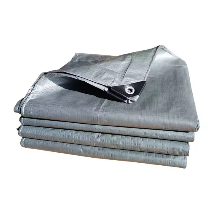 SOMY Lona protectora, Lona multifuncional plateada y Lona protectora de 2 x 3 m - 1