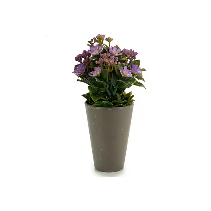Planta Decorativa Ibergarden Plástico 11 x 22 x 11 cm - 1
