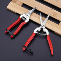 Tijeras De Podar Para Jardín Y Bonsái De Frutas Herramienta De Podar Árboles Duraderas Tijeras De Jardín Tijeras De Fruta - details 2