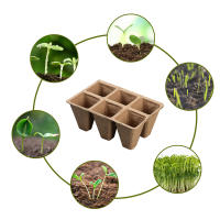10pcs Jaulas De Semillas Biodegradables No Tóxicas De 6 Celdas Papel Para Inmaculación De Semillas Y Plántulas - details 6