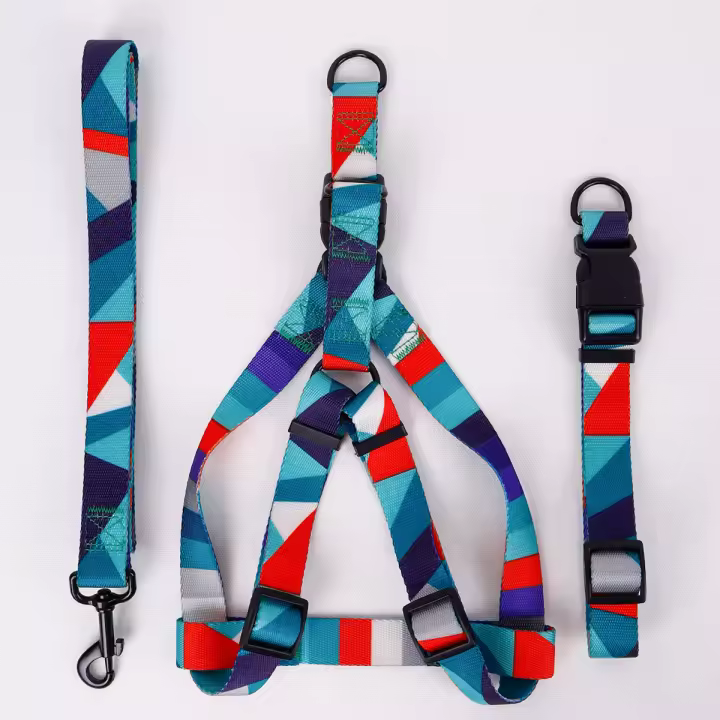 Juego De 3 Piezas Para Perros Abstracto Correa Y Correa De Anzuelo Con Arnes De Cuello En Nylon Para Caminar - 1
