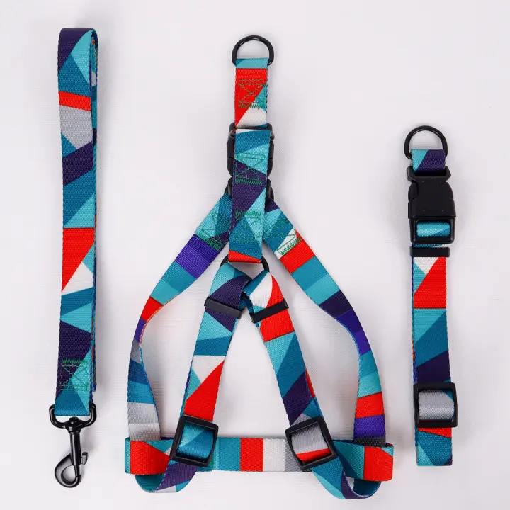 Juego De 3 Piezas Para Perros Abstracto Correa Y Correa De Anzuelo Con Arnes De Cuello En Nylon Para Caminar - 1