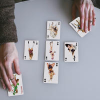 Baraja De Papel Poker Vintage Retro Con Bellas Chicas Diferentes 54 Tarjetas Juego Clásico De Clubes Para Jóvenes Mayores De 14 Años - details 8