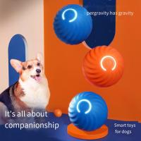 Juguete Inteligente Para Perros Y Gatos Bola Eléctrica Recargable Por USB Juguete De Diversion Automático Para Animales De Compañía - details 6
