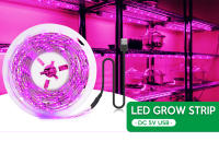 Luz De Crecimiento Para Plantas USB 5V LED Espectro Completo Para Invernadero Sistema De Cultivo Acuático Phytolamp Verde - details 0