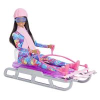 Barbie Trineo de Nieve Muñeca Morena Mattel HGM74 - details 1