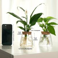 Estación De Cría De Plantas En Vaso De Vidrio 1pc Soporte Para Flores Y Decoración De Escritorio Para Oficina Y Hogar - details 2