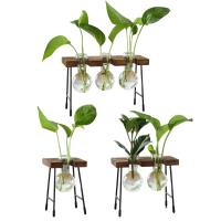 Vaso De Flor De Vidrio Moderno Para Arreglo Floral Y Propagación De Plantas Decoración De Sala De Estar Y Casa Rústica Sin Marca Proveniente De China Continental - details 4