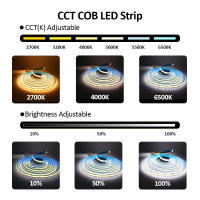 Tira De Luz LED COB CCT 5M 12V 24V DC 608LEDs FCOB Doble Color Blanco Regulable Alta Densidad Flexible Ra90 Cinta Lineal - details 4
