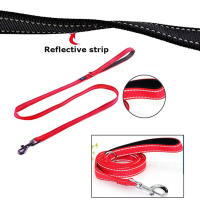 Correa Para Perros De Viaje Al Aire Libre Con Dos Manijas Resistente Y De Mayor Control Para Entrenamiento Dual Handle - details 3