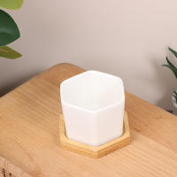 Maceta De Cerámica Blanca Para El Hogar Con Bandeja Hexagonal Sencillo Estilo Europeo Contenedor De Planta Para Suculentas Pequeña Maceta Para Bonsái - details 10