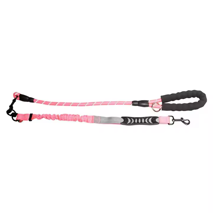 Correa de Perro Bungee Resistente con Mango de Espuma, Elástica y Reflectante - 1