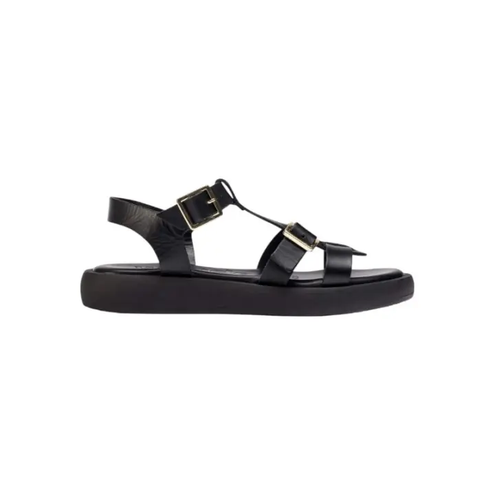 Wonders Luz Negro - 1
